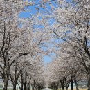 하개명마을회관 이미지