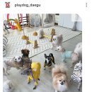 더예쁘개 이미지