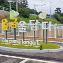 진도농협 특산품 판매장 이미지