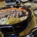 월수금통돼지 이미지