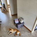 [숙소/제주]우도 머뭄 게스트하우스_1인실 1박 2일 후기, 여성 전용 게스트하우스, 조식 제공, 우도...