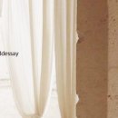 한남동 디자이너거리 이미지