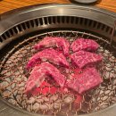 새벽집 티스토리