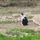 Project 202
