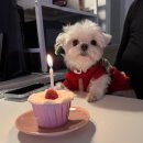 끄레므멍 이미지