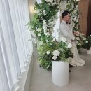 50 | 청주스몰웨딩50명 후기