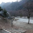 금대자동차야영장(치악산국립공원) 이미지