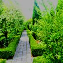 전원카페 이미지