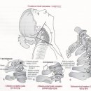 구공피티스튜디오 이미지