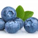 아이캐슬안경원 이미지