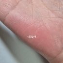 페리페라 잉크 무드 글로이 틴트 [27 핑토당토] 내돈내산 후기