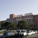 경북대학교 Daum카페
