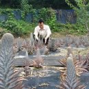 김관호한의원 이미지