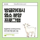 조이축산