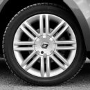 동행 행정사 이미지