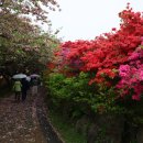 전주 완산꽃동산. 완주 화산꽃동산. 논산 탑정호 여행 이미지