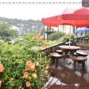 대나무펜션 이미지