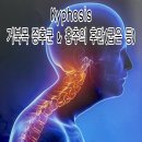 라이크PT스튜디오장승배기점 이미지