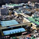 농수산물도매시장_서 이미지