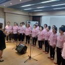 의료법인경산의료재단 해광병원 | 5060라온합창단 해광병원 첫공연