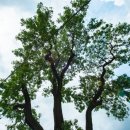 저곡리경로당 이미지