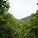 연곡주유소 이미지