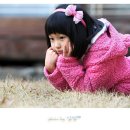 유림 Daum카페