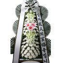 봉암동203 이미지