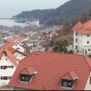 남해-311 이미지