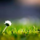 그대 안에그대 이미지