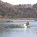 청송 태양광발전소 이미지