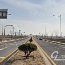 내포제2진입도로 | 군도 18호, 내포제2진입도로 명품가로숲 조성 완료