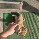 사창리공영주차장1 이미지