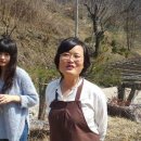 천지수향 네이버블로그