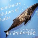 달성화석박물관 | 대구 겨울 실내 아이랑 갈만한곳 달성 화석 박물관 관람 후기