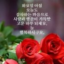 화요일 Daum카페