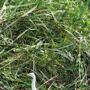 보문회관 이미지