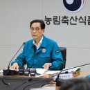 전돼지