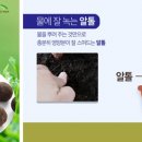 유바이오텍(주) 이미지