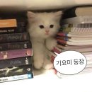 모토쿠라시