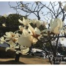 세운공인중개사사무소 이미지