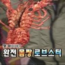 제주마농