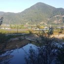 청도프로방스펜션민박 이미지