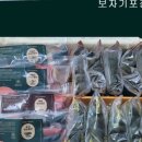 천년보리