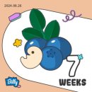 밝은e안경 | 부산여행:) 급 떠난 24년 여름 _부산여행 / 꽃지 생일여행 / 알게 된 둘째의 존재