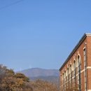 신녕면복지회관 이미지