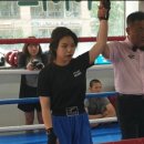 프로팀스타 복싱 이미지