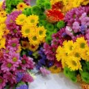 도장초등학교 이미지