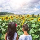 소리드림 보청기 이미지