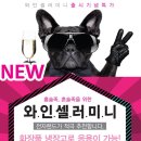 셀러킹
